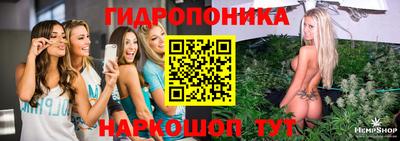 гидра Кинель