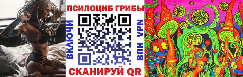 кракен как войти Мыски Псилоцибиновые грибы мухоморы как найти закладки