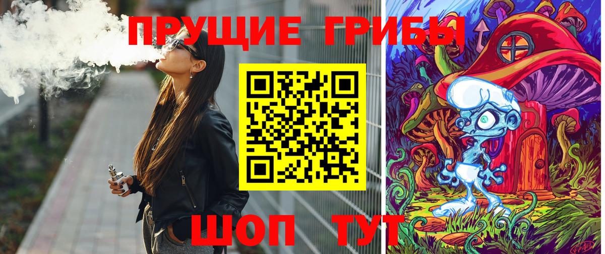 Мыски  Галлюциногенные грибы Psilocybine cubensis  Вход с VPN  Псилоцибиновые грибы Psilocybe 