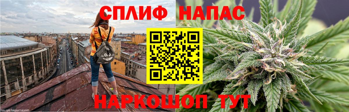 Бошки Шишки тримм Мыски